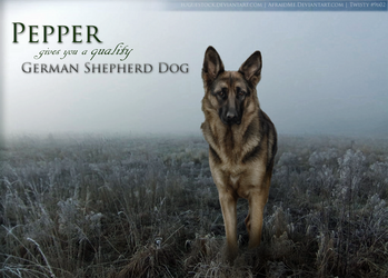 GSD Cover Image