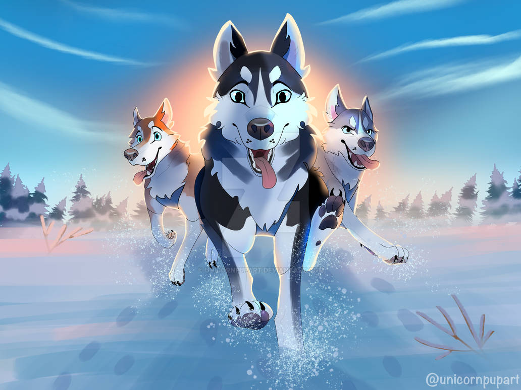 Husky Deviantart siberian husky sled dogs by unicornpupart on DeviantArt