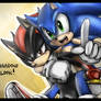 SONIC AND SHADOW