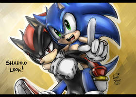 SONIC AND SHADOW