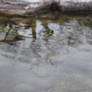 Underwater Pathway