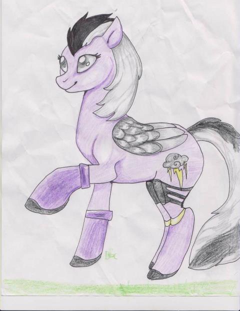 sindel pony