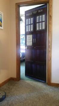 TARDIS Door