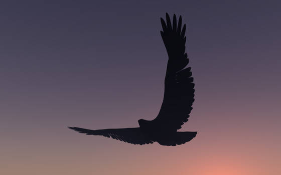 Eagle_Silhouette_DStock_6400