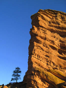 Rock/Tree