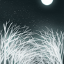 Luna in white forest
