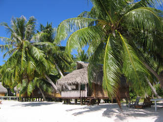 french polynesian islands h18