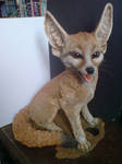 Fennec Fox by mattcummings