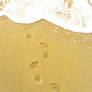 footprint