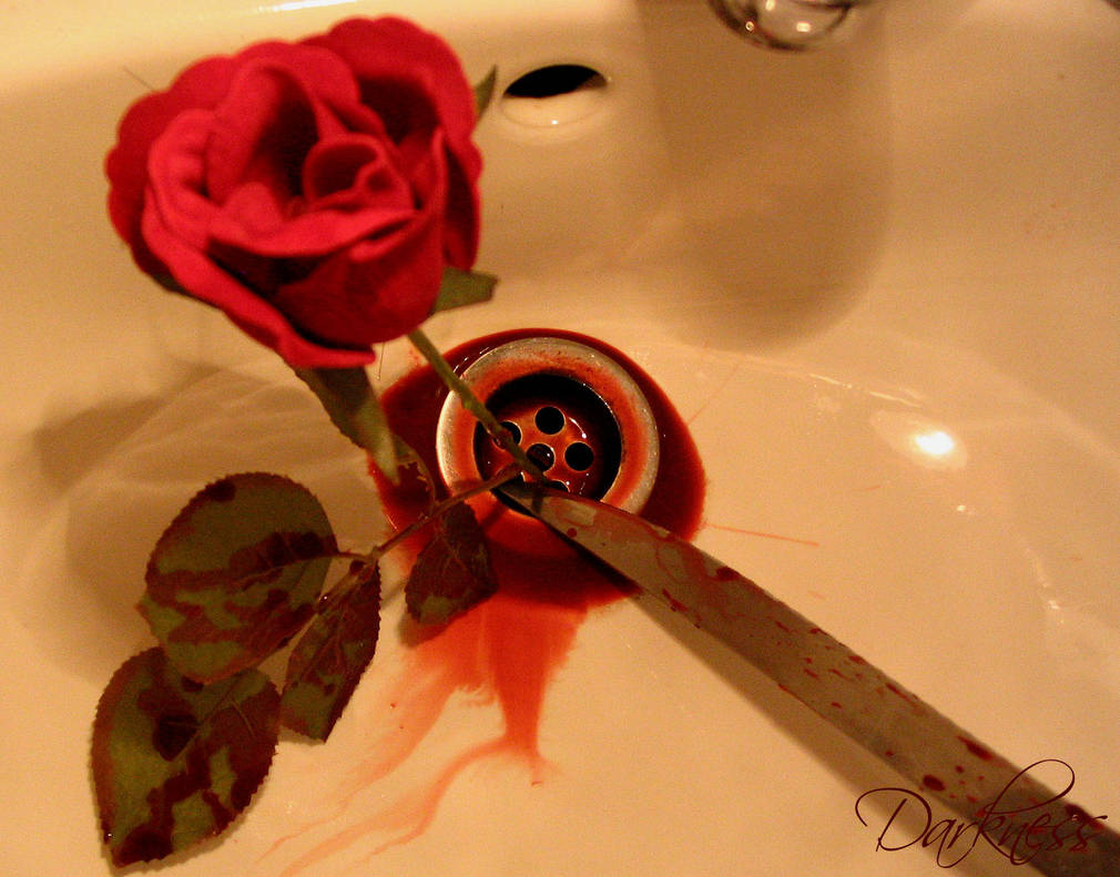 Bloody Rose