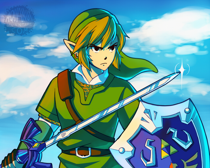 Link - Legend of Zelda: Skyward Sword