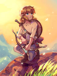 Breath of the Wild: Link
