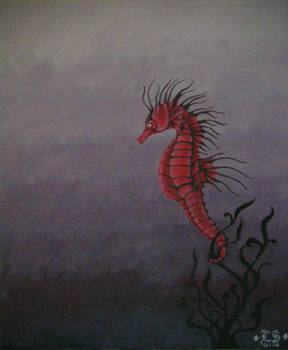 Lonely little Seahorse
