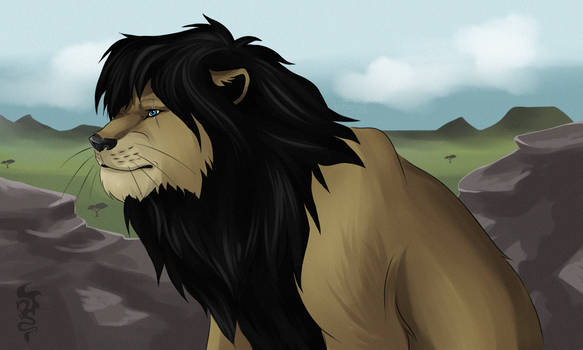 Lion Redrawing