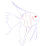 Daily Sketch 5/24/20: Angelfish