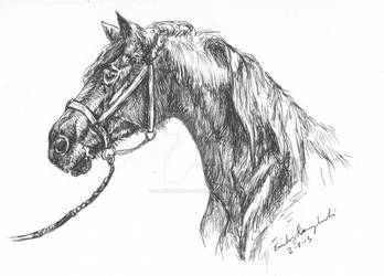 Horse 1