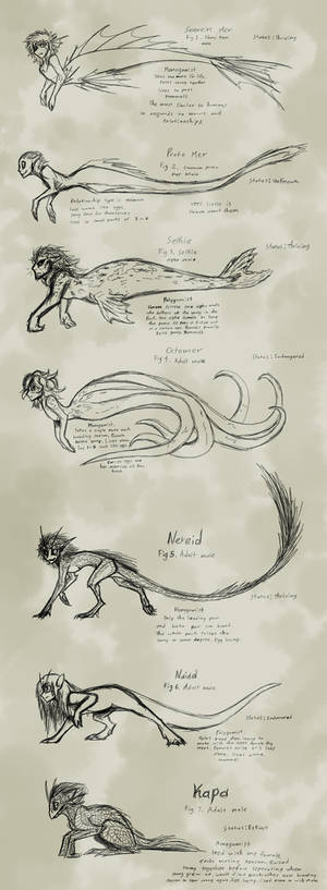 The Mer Species of Sovereign Mers