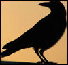 Free crow icon 100x96