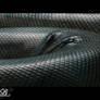 :: Anaconda ::