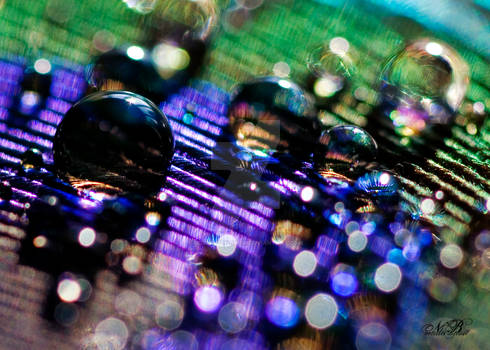 Rainbow Bokeh Bubbles