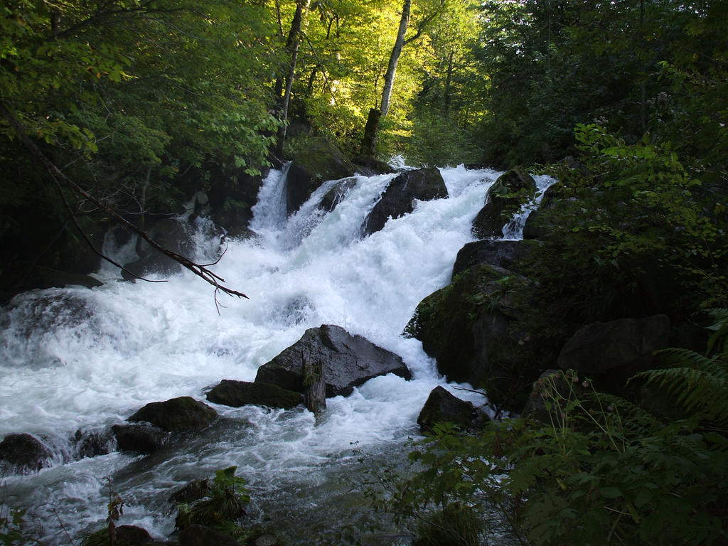 Small Falls in Japan