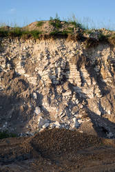 Rocks and Plants