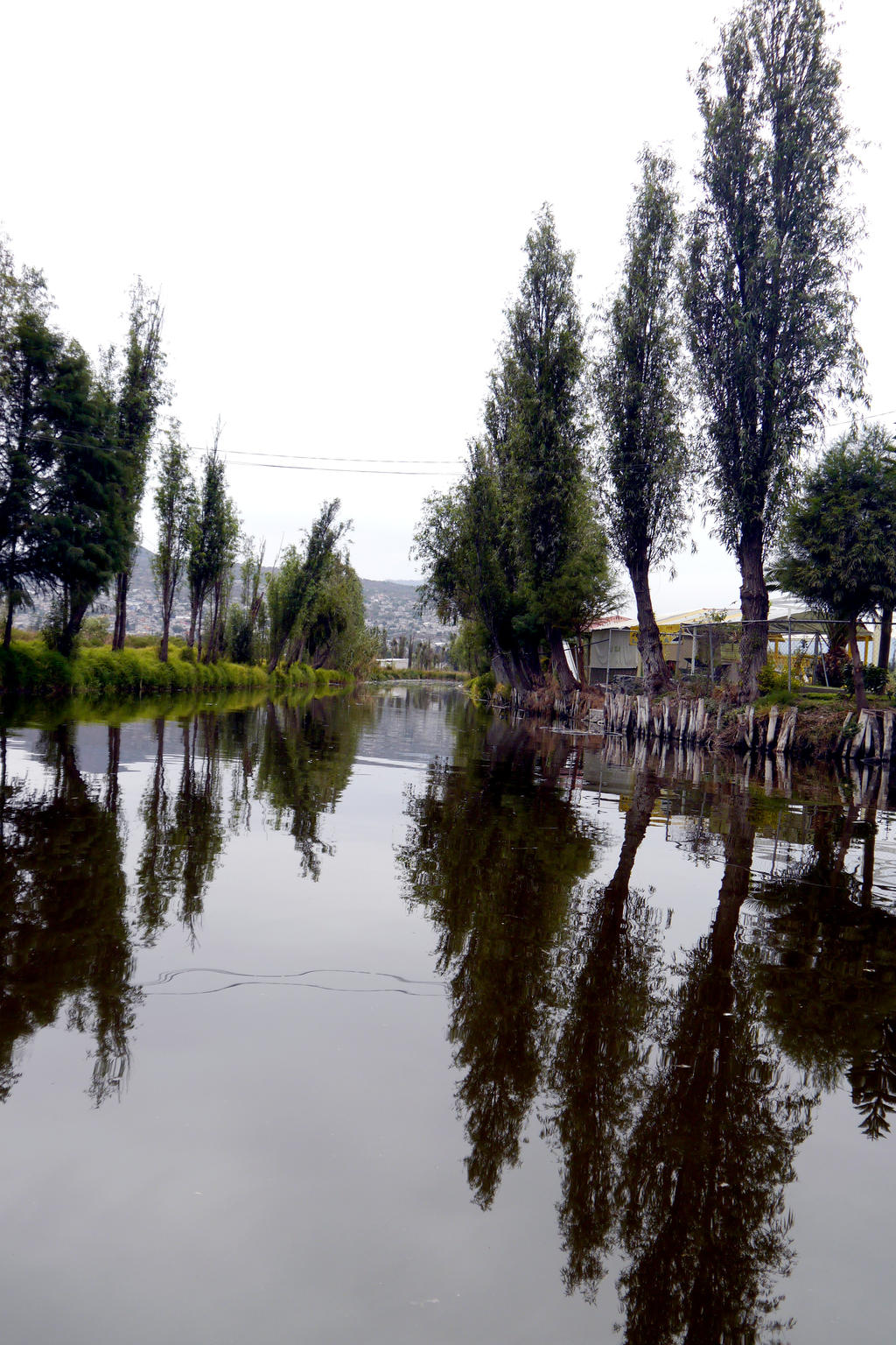 ahuejotes by samo19 on DeviantArt