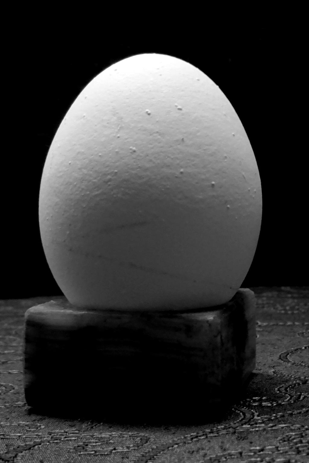 One egg. by samo19 on DeviantArt