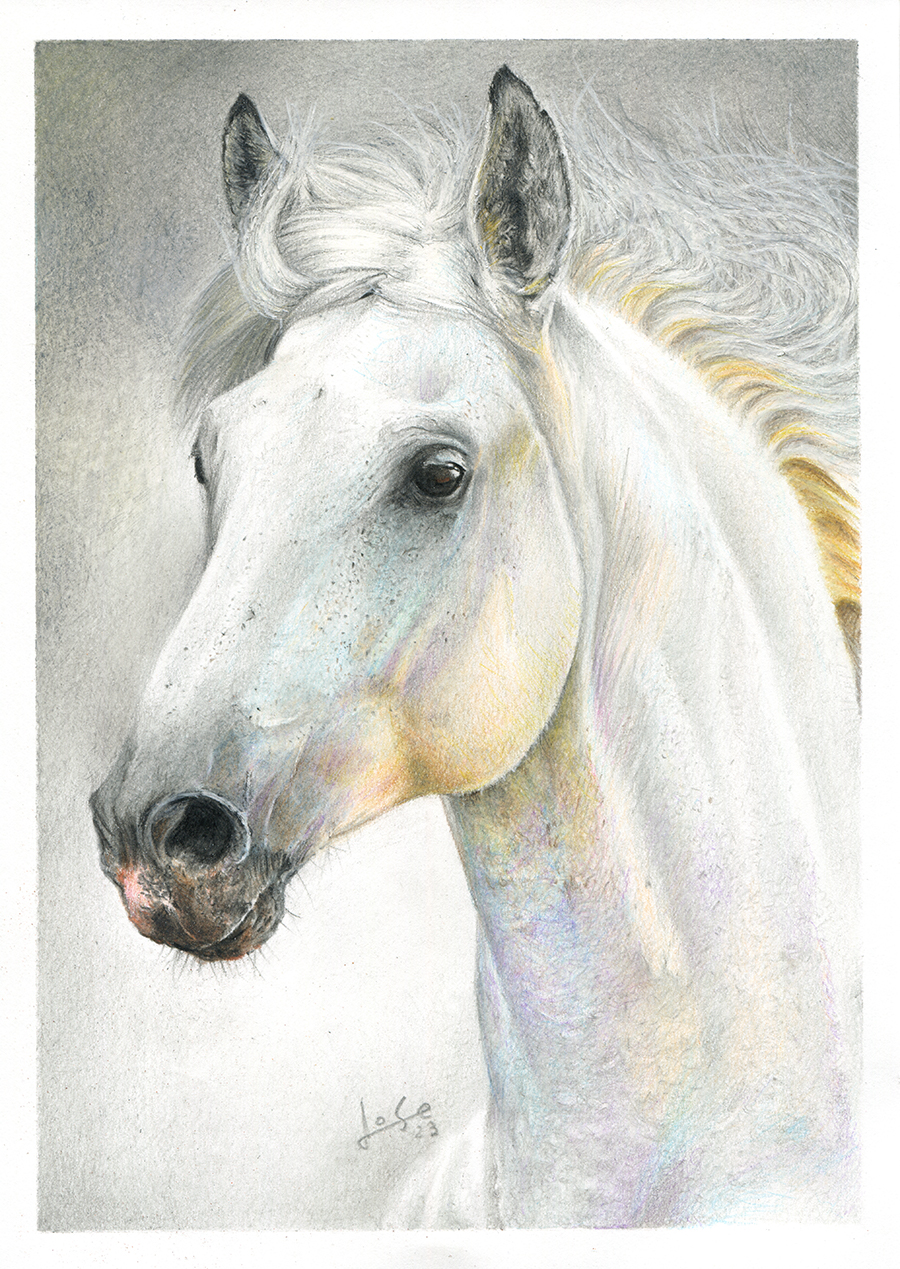 Caballo2