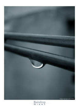 Raindrop