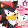 Smile Shadow!! - Amy Rose