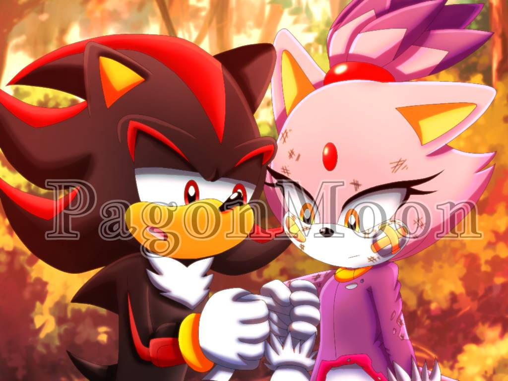 Shadaze Rizz Shadaze Week: Day 1: Stubborn by PagonMoon on DeviantArt