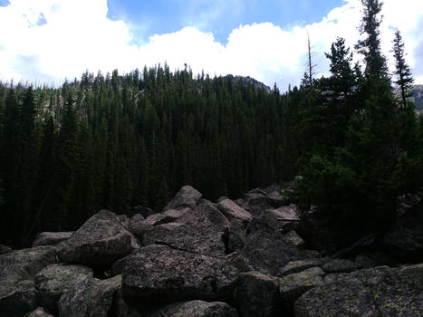 Holy Cross wilderness