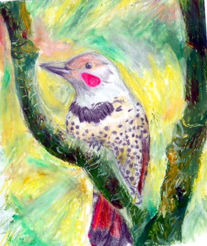 WoodPecker