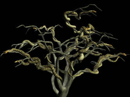 Snake tree