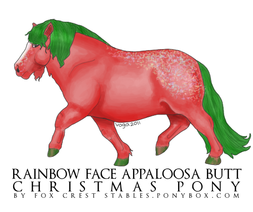 Rainbow Face Appaloosa Butt Christmas Pony