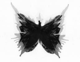 black butterfly