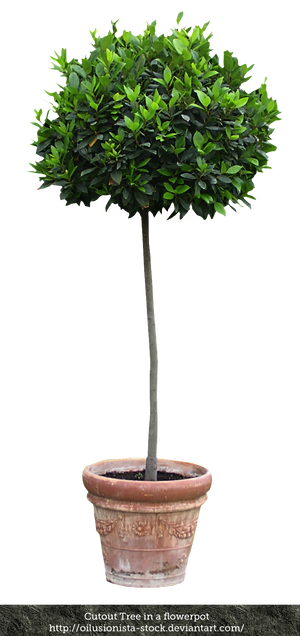 Cutout Tree in a flowerpot