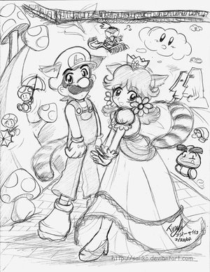 Mario: Tanuki Pair