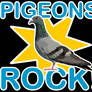 Pigeons rock