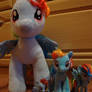 Dashie Obsession