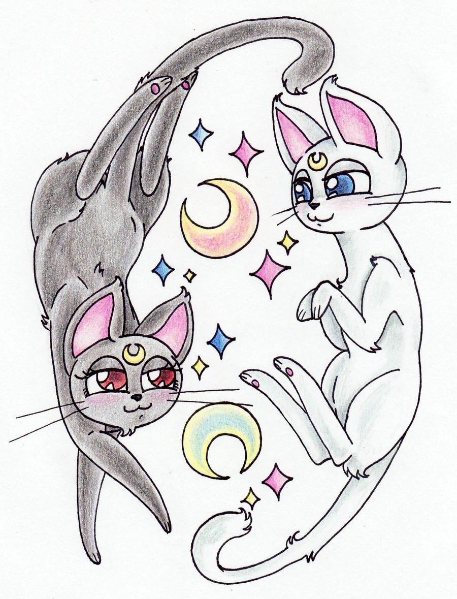 Complimentary Moon Cats