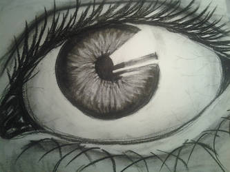 Eye