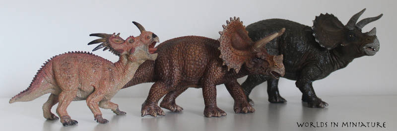 3 Ceratopsians