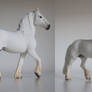 white Friesian stallion (special edition)