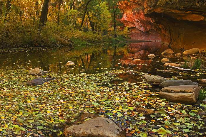 West fork oak creek canyon