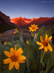 Alone by PeterJCoskun