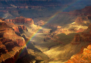 Royal Rainbow by PeterJCoskun