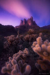Desert Dreams by PeterJCoskun