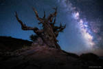 Guardian Of The Galaxy by PeterJCoskun